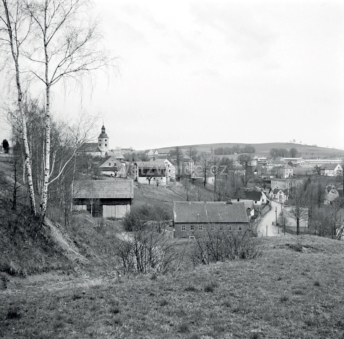 Pohled na obec Václavice od Skály. Fotografováno 14.9.1951.