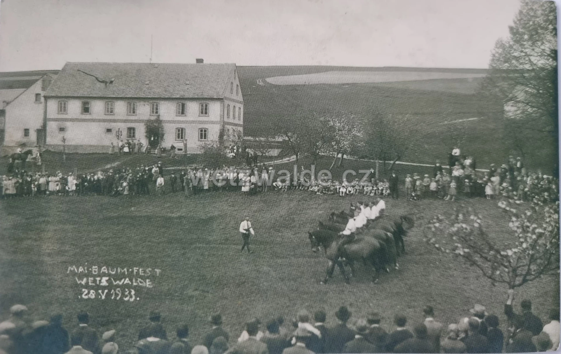 Václavice (1933) Lidová slavnost stavění máje zdroj - František Vydra, Vitalij Marek a Petr Prášil - Hrádecko - Chrastavsko na starých pohlednicích, 2005.
