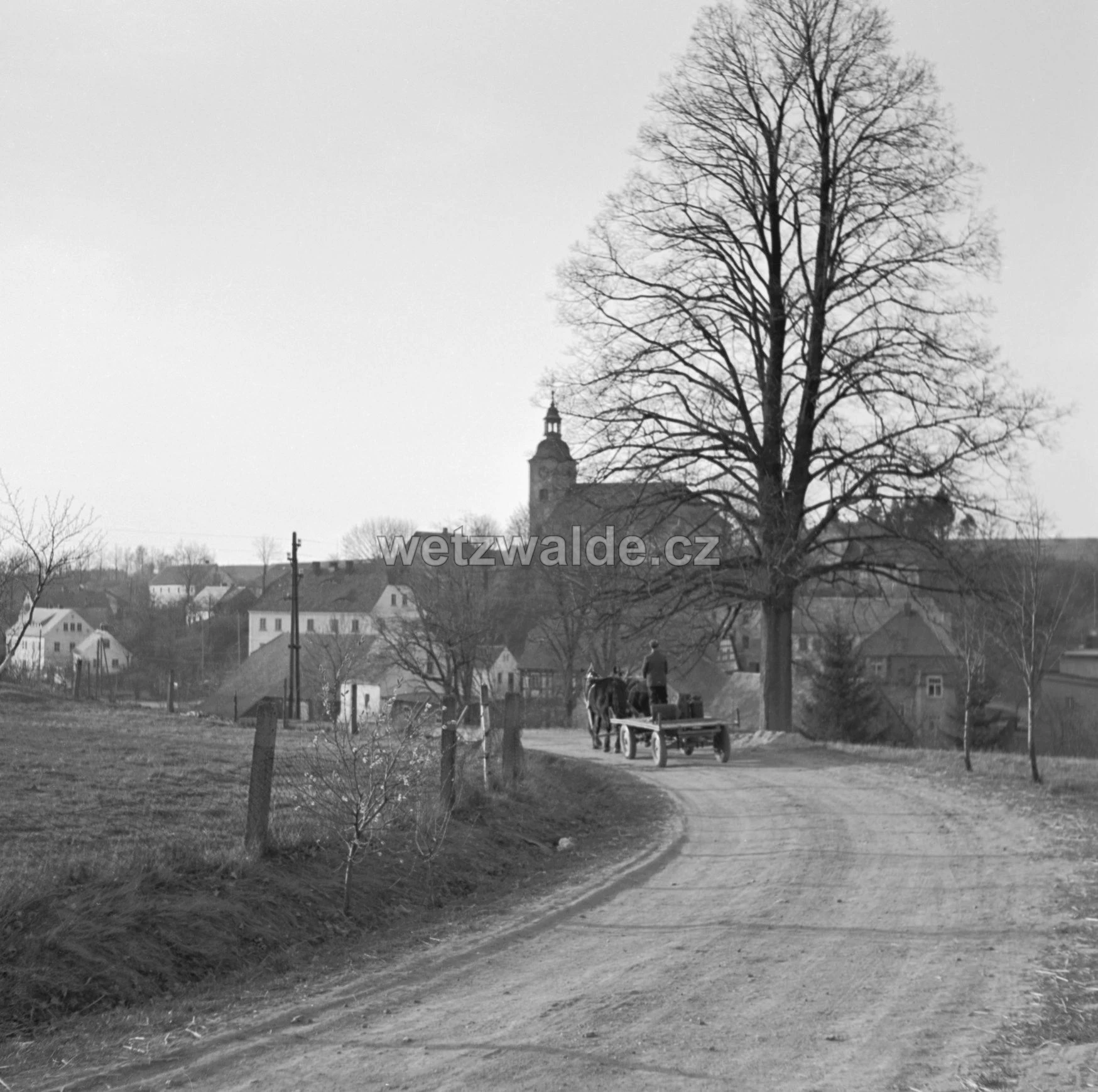 Obec Václavice.
