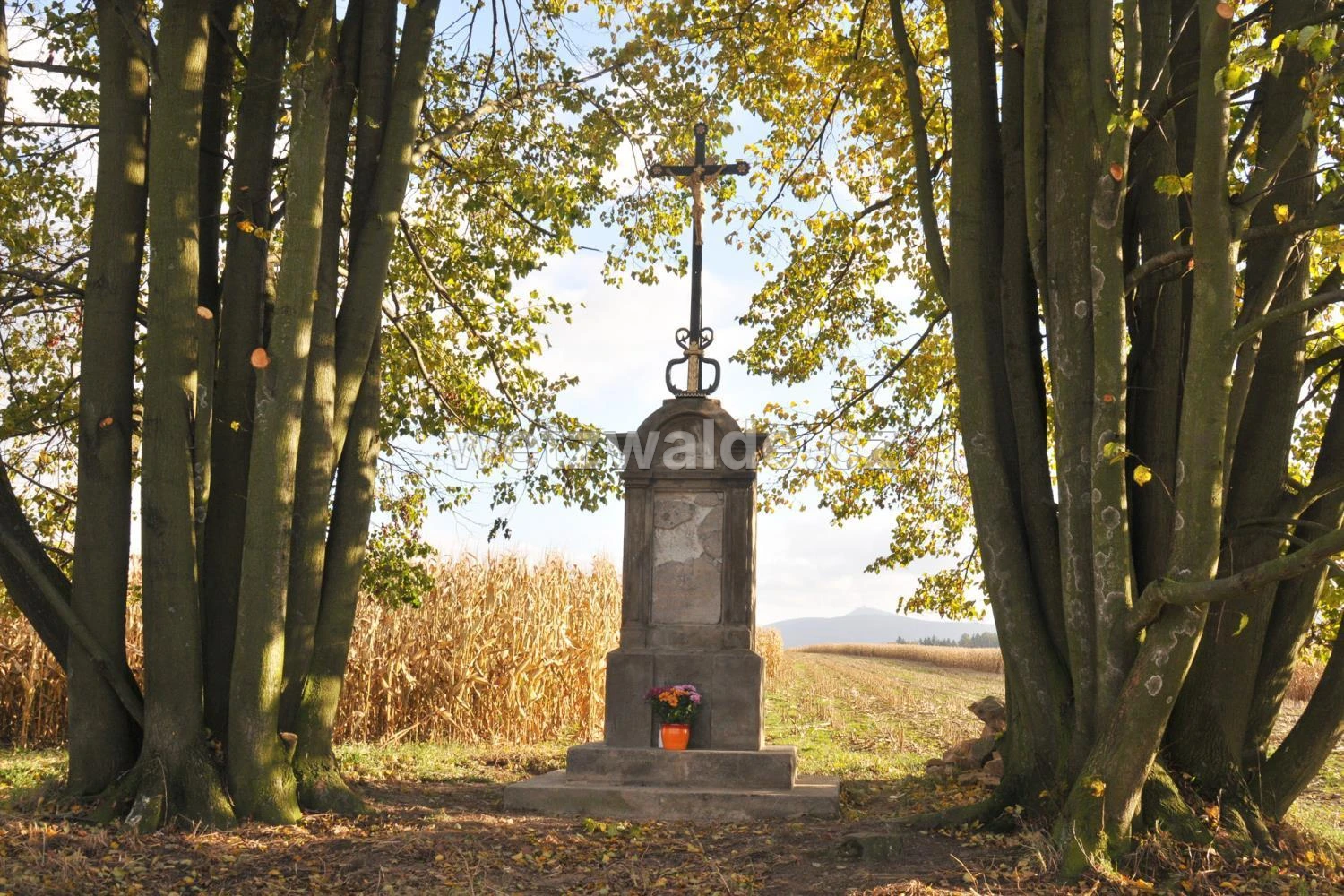 Wohlmannův kříž ve Václavicích
